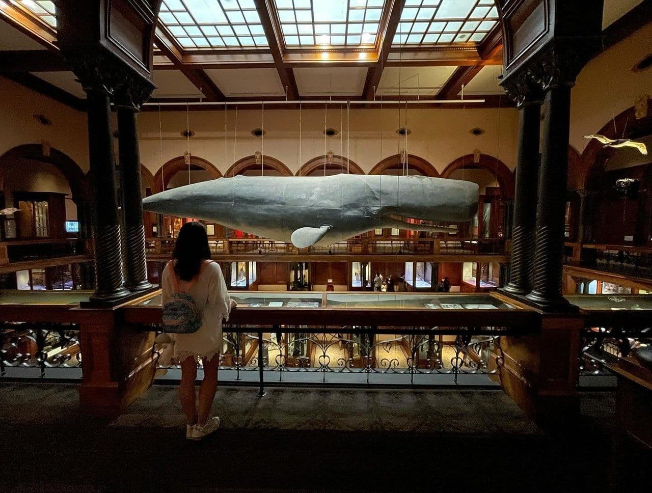 Bishop Museum. Photo by @bellali_0318 (via Instagram).