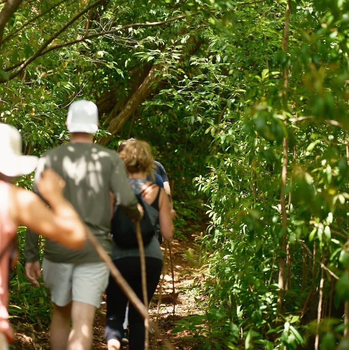 9 a.m. - Helewai Eco Tours