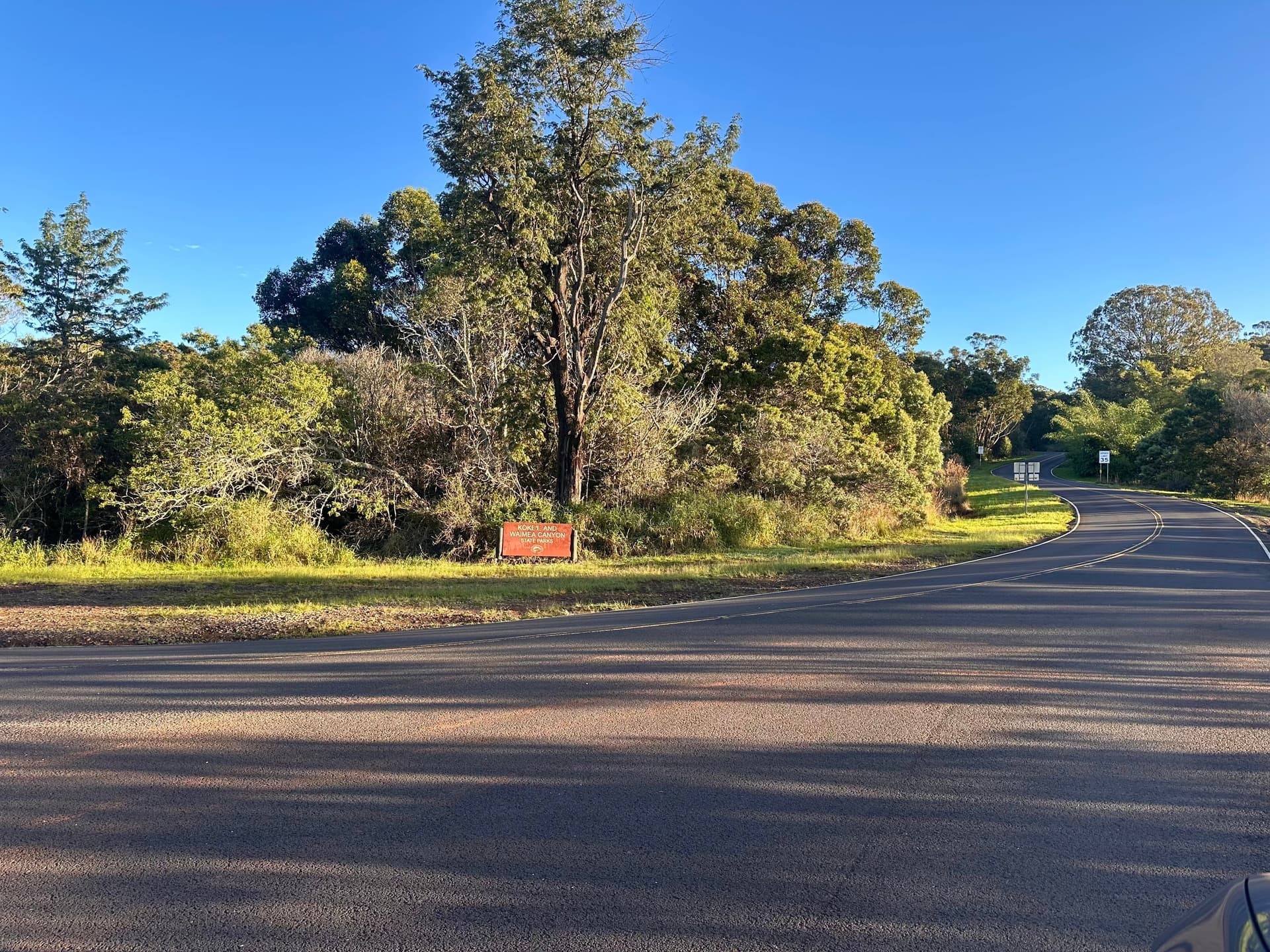 The intersection of Waimea and Kokee state parks at waimea canyon Kauai Hawaii.