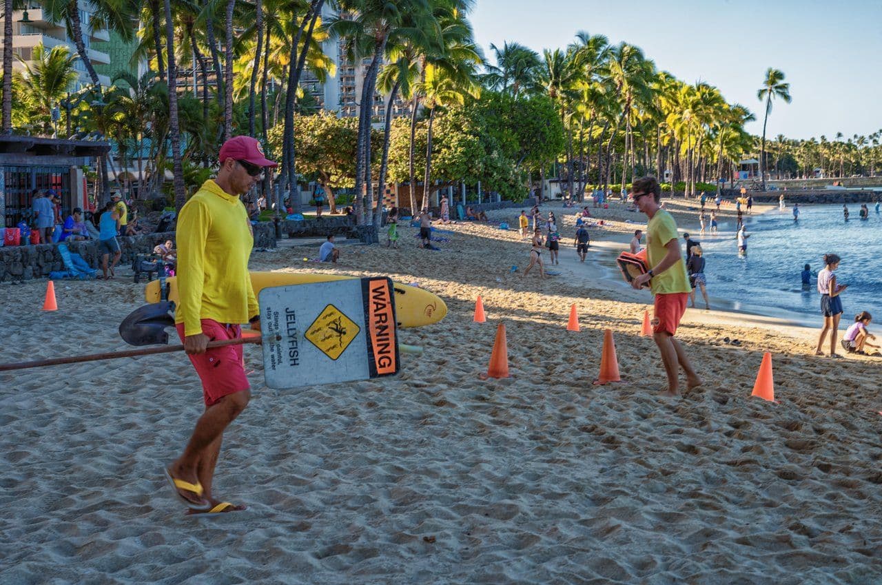 Lifeguards setting out safety warning signs at the beach.