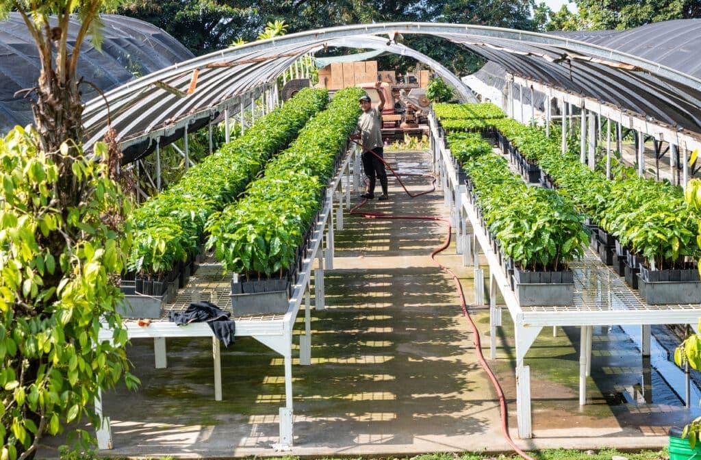 Greenwell Coffee Farms hateii hawiia hawaii. hawaiii hawiaii hwaii hawaai hawall hawii hawwai hawwaii hawwii hiwaii haiwaii hawia hawwi 1942776655