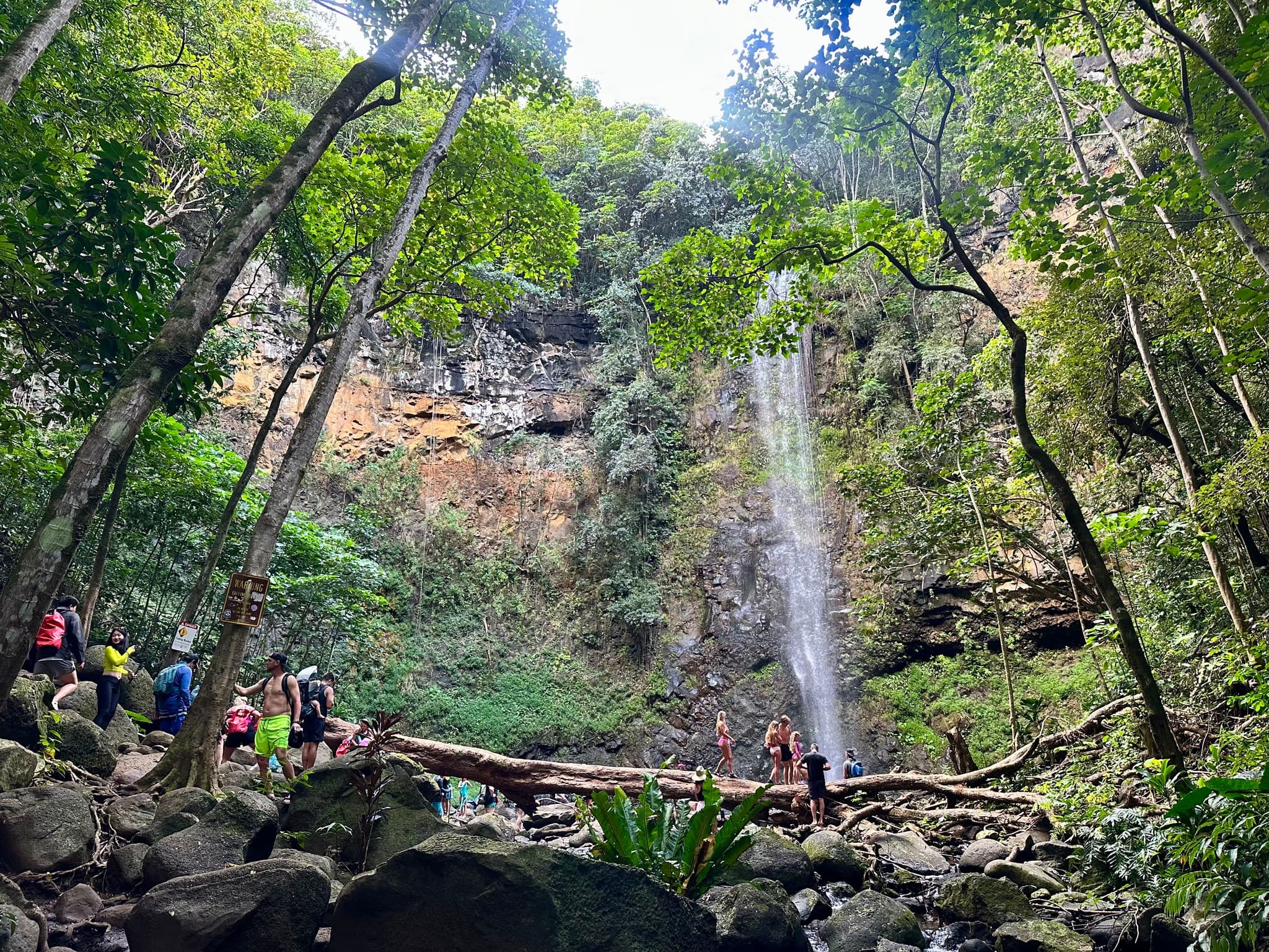 Uluwehi Falls at the Wailua River. Photo by Sarah Burchard.
