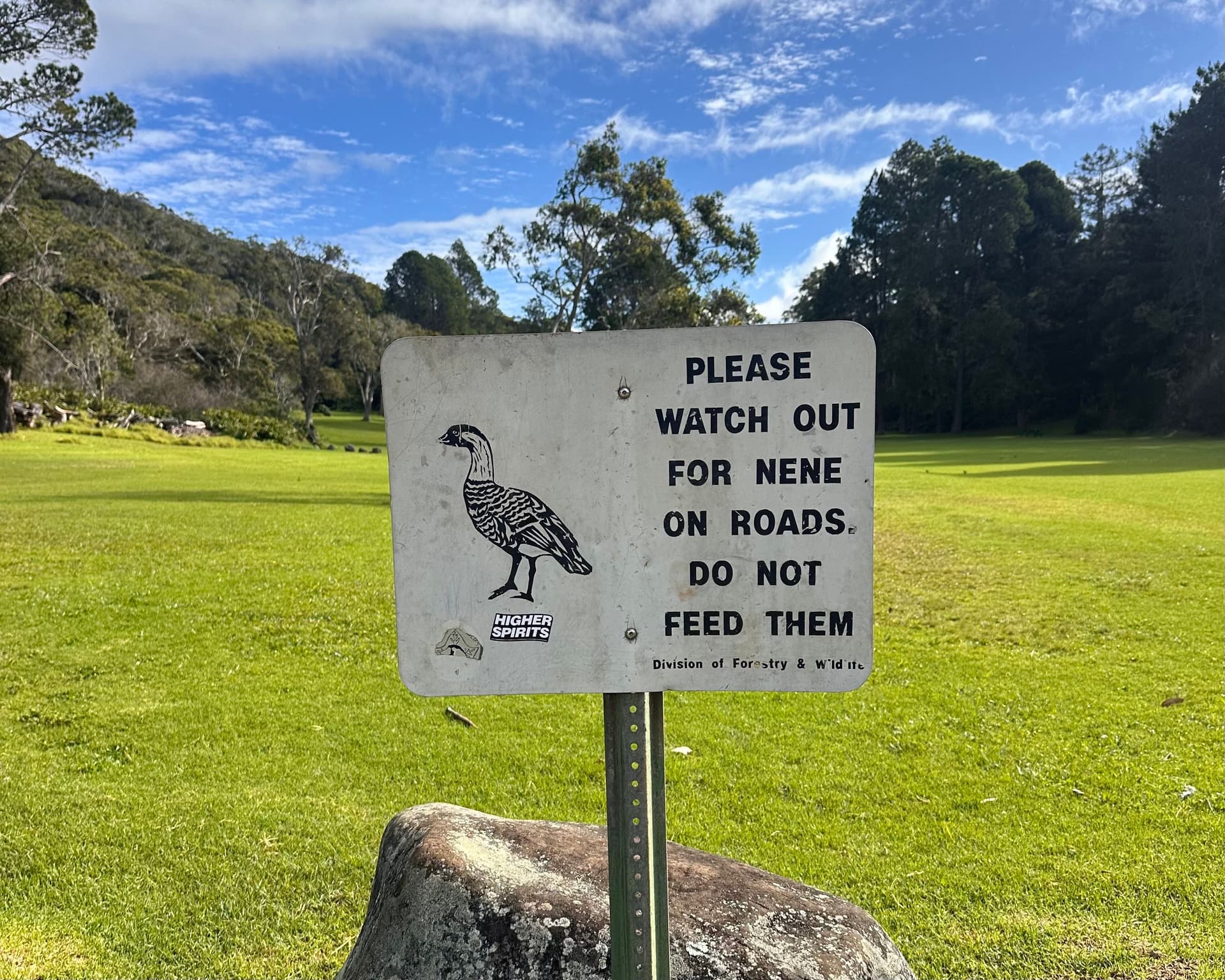 A sign that says please dont feed the nene bird at kokee state park on Kauai Hawaii.