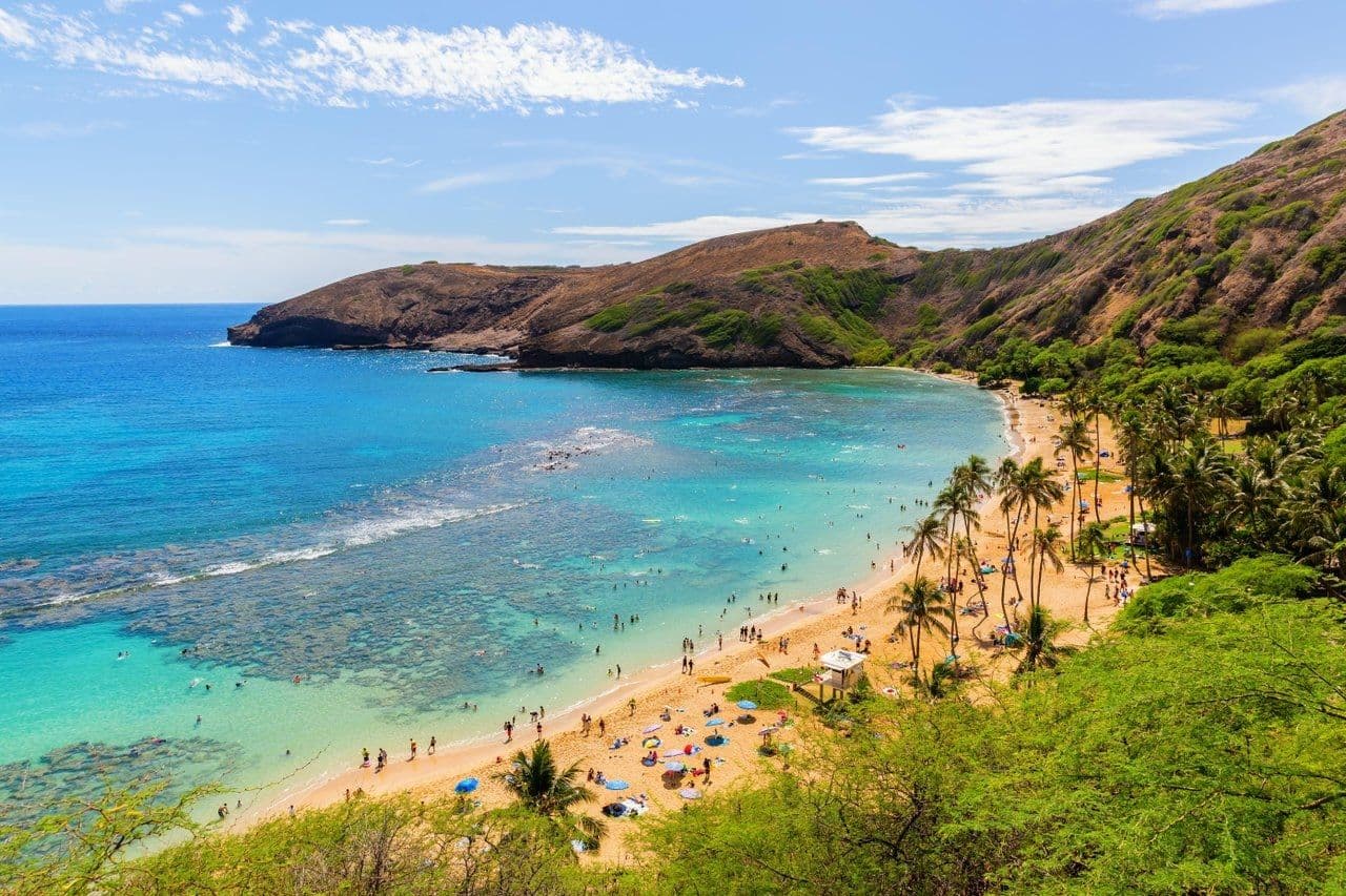 turquoise ocean, bay, palm trees, green mountain.
