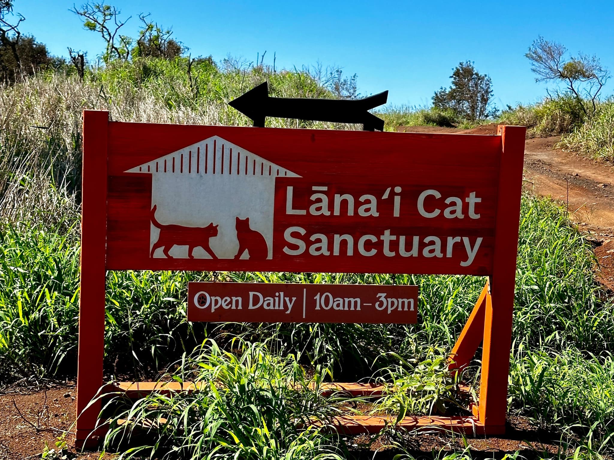 Photo by Laurie Lyons-Makaimoku.