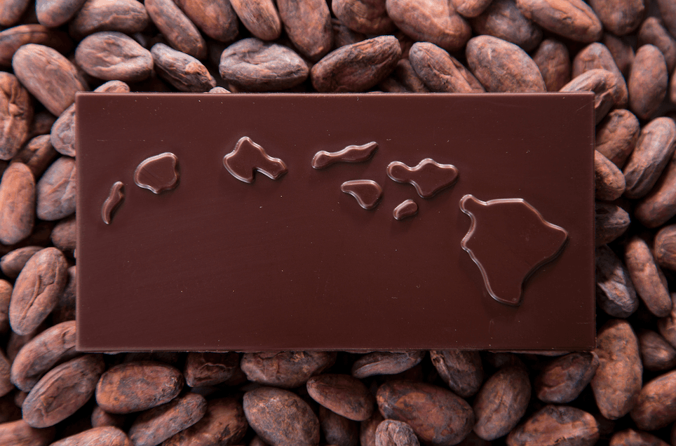Hawai'i-Grown & Made Chocolate Tasting in Waikiki