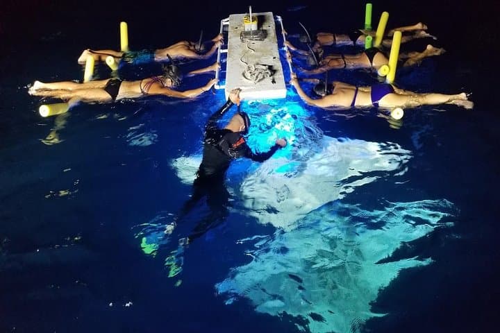 KONA Manta Ray Night Snorkel - FREE re-ride if no Sightings