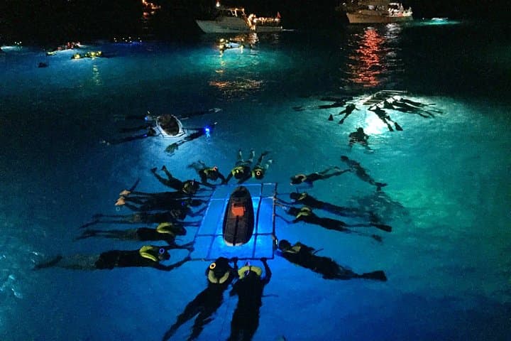 Big Island Manta Ray Night Snorkel