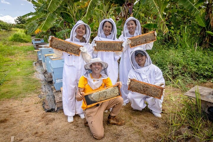 Bee Farm Ecotour and Honey Tasting in Waialua, North Shore Oahu