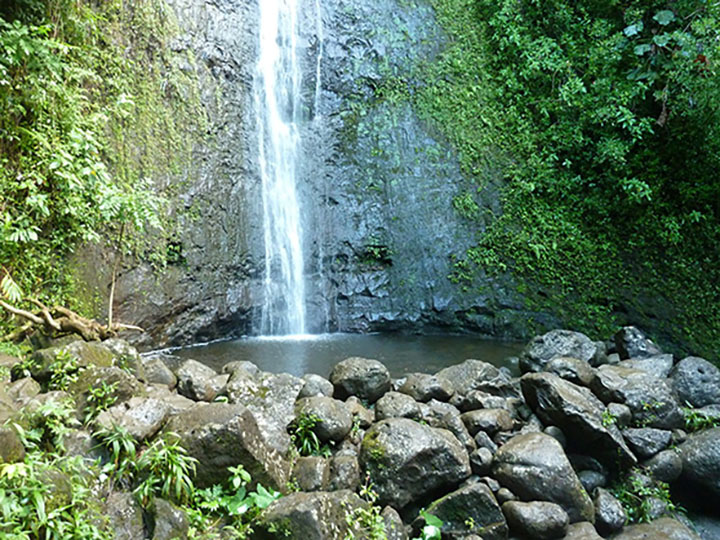 Manoa Falls