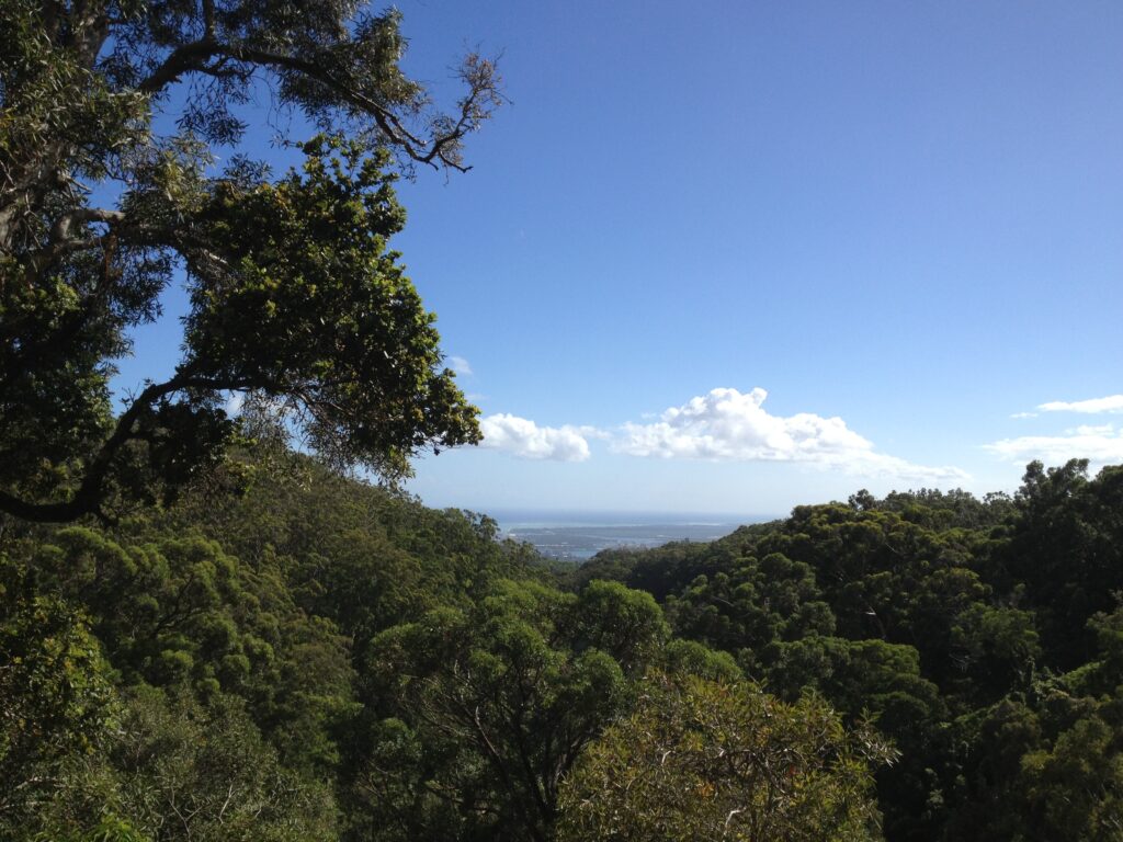 View from Aiea Loop Trail.