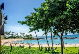 Explore Oahu