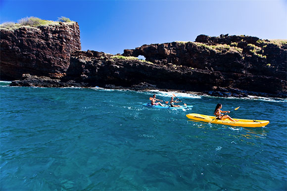 Image of The Pineapple Island