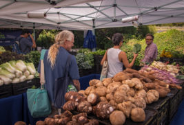 Farmers Markets in Maui County