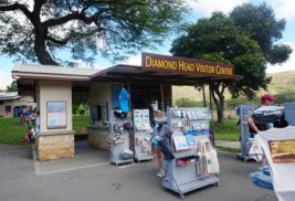 Visitor Information