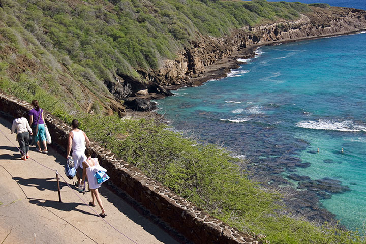 Image of hanauma bay snorkeling hawaii parking lot