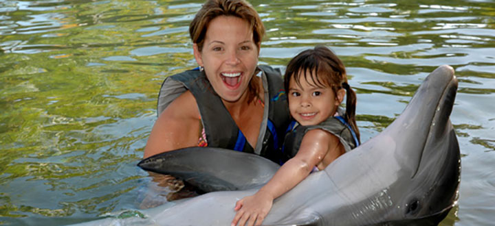 Image of Dolphin Quest.