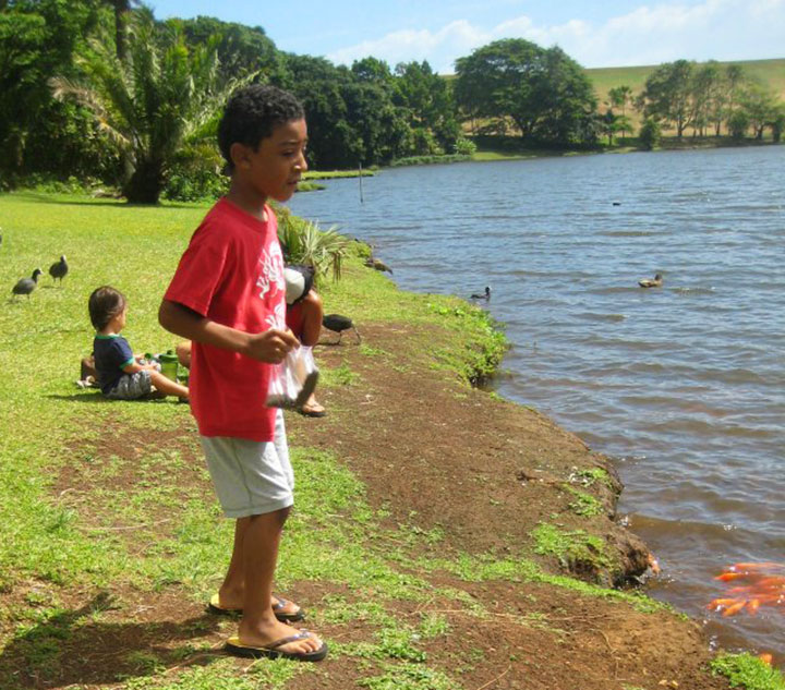 Image of Ho`omaluhia Botanical Garden