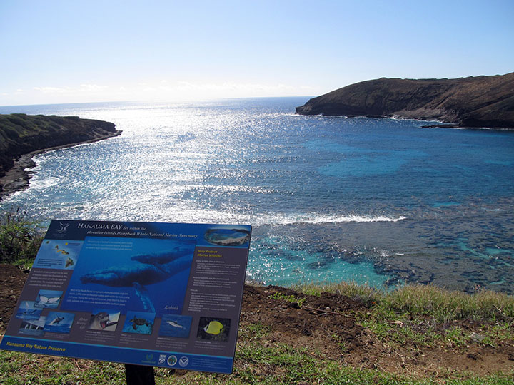 Image of hanauma bay snorkeling hawaii Parking & Shuttles
