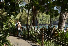 Big Island’s Hāmākua Coast:  A Fairy Tale Journey