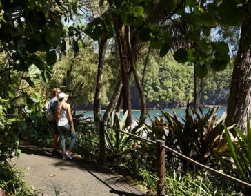 Big Island’s Hāmākua Coast: A Fairy Tale Journey