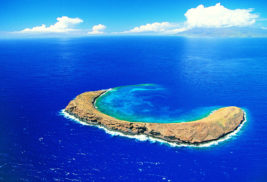 The Sanctuary of Molokini