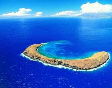 The Sanctuary of Molokini