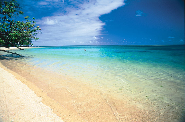 Anini Beach Park. Photo courtesy of Hawaii Tourism Authority (HTA) / Robert Coello.