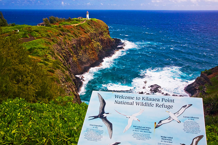 Kilauea Wildlife Sanctuary. Photo courtesy of Hawaii Tourism Authority (HTA) / Tor Johnson.