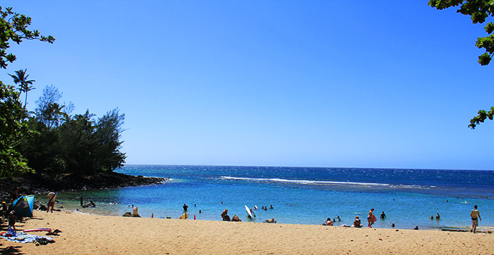 Photo: Kee Beach, Kauai (Honolulu Star-Advertiser/Jeff Sanner)