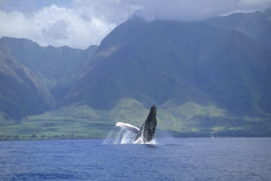 travel to molokai from maui