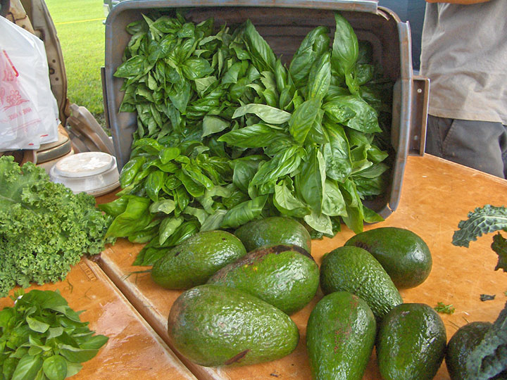Image of Basil and avocados