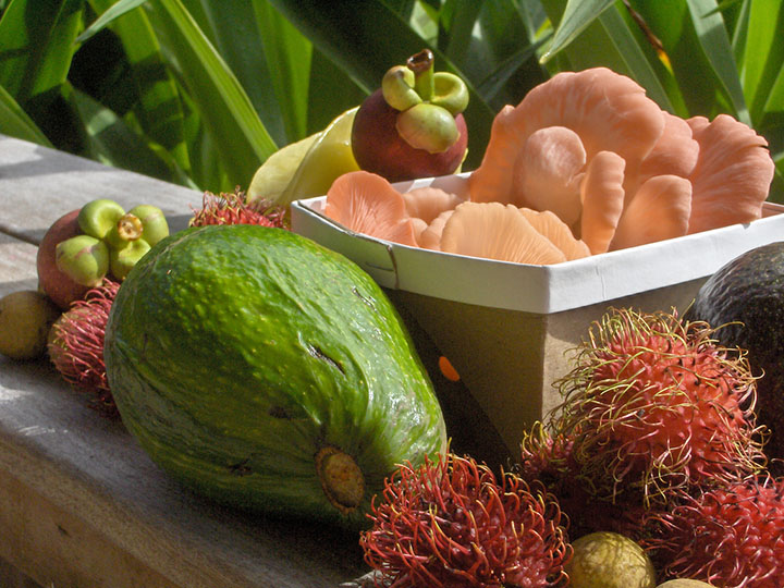 Image of green avocado, flesh-colored oyster mushrooms and red rambutan