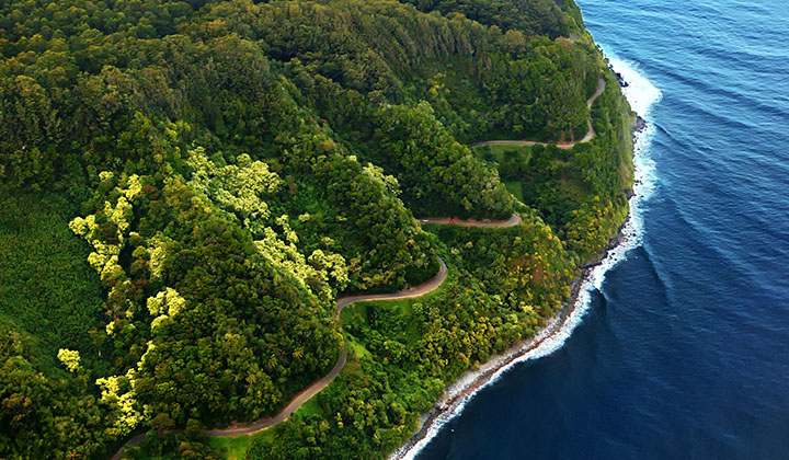 Image result for road to hana picture