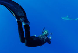 Hawaii Shark Encounters Offer Up Close Experiences Off Of Haleiwa, Oahu