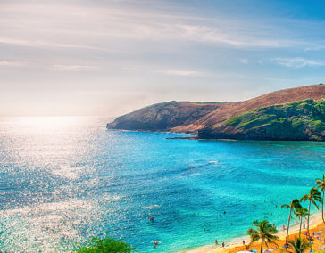 The Best Time to Visit Hawaii