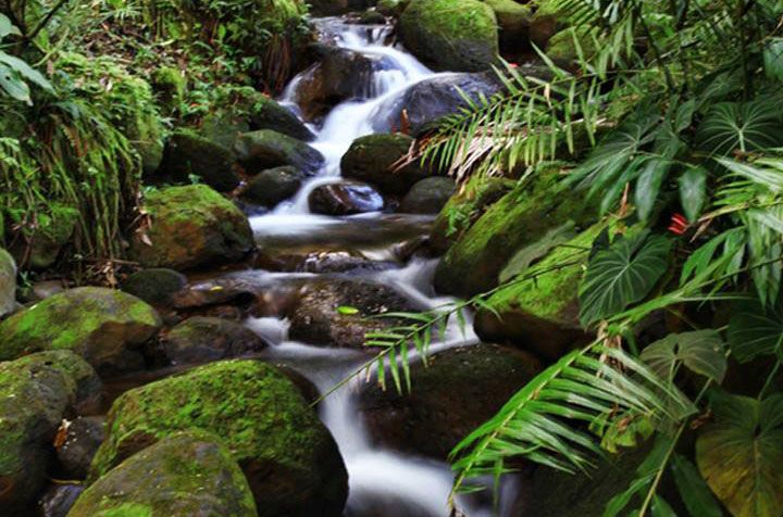 Image of hamakua big island waterfall islands in Hawaii