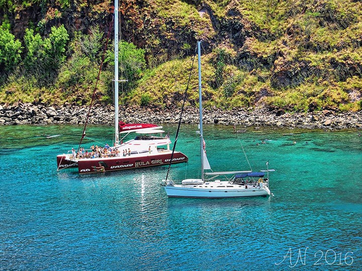 Image of honolua bay maui islands in Hawaii