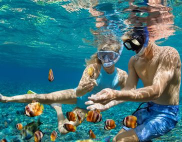 Honi Olani – Hawaii Nautical