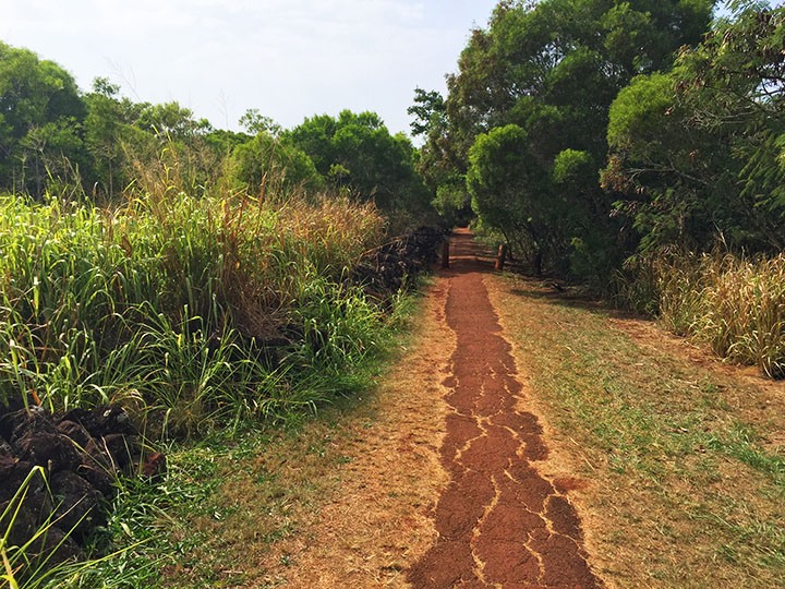 Puʻu O Mahuka Heiau