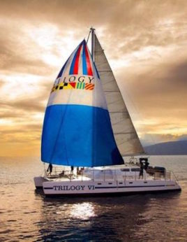 Cruises & Sailing