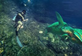 Popular Dive Spots on Kauai