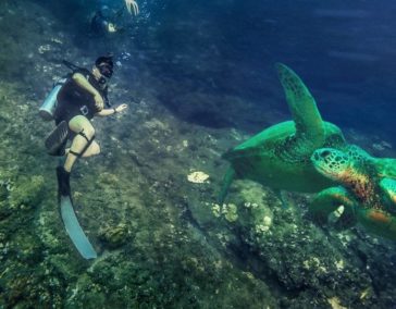 Popular Dive Spots on Kauai