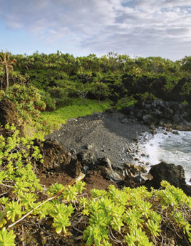 Maui