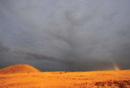 A DIFFERENT PLACE, A DIFFERENT CLIME