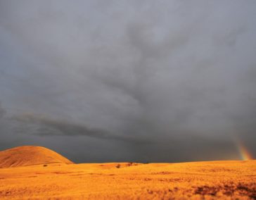 A DIFFERENT PLACE, A DIFFERENT CLIME