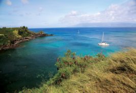 The Maui Mystique