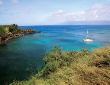 The Maui Mystique