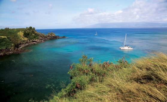 The Maui Mystique