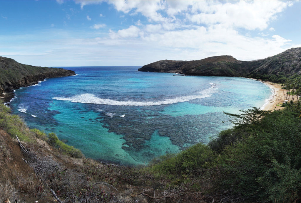 Image of Honolulu Star